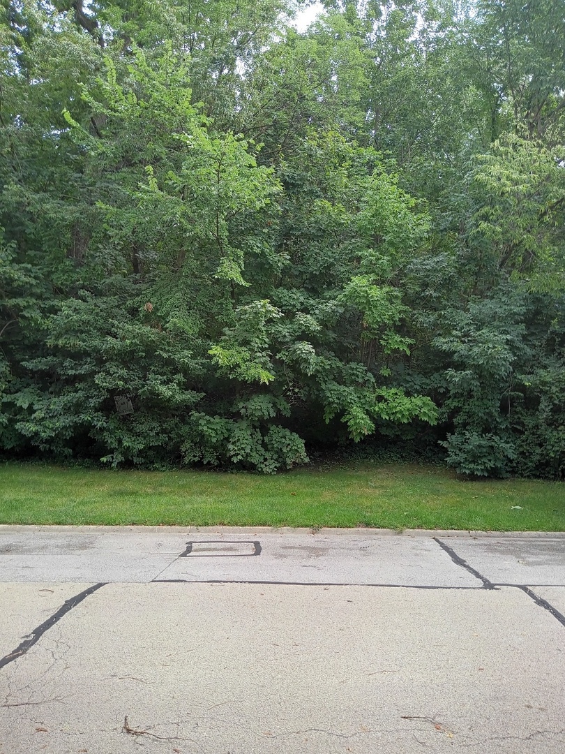 3 Merrimack Court Bolingbrook, IL 60440 - Photo 4 of 6 a view of a yard and a house