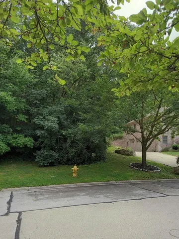 a view of a road with a yard and large trees
