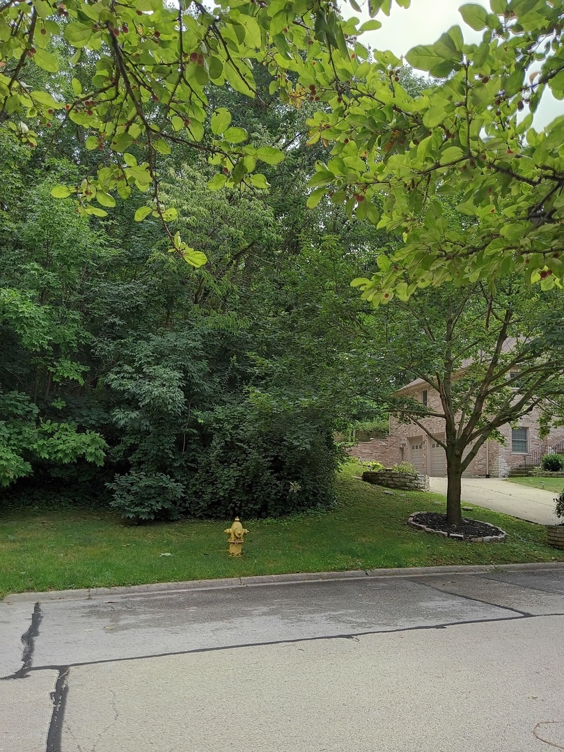 3 Merrimack Court Bolingbrook, IL 60440 - Photo 5 of 6 a view of a road with a yard and large trees