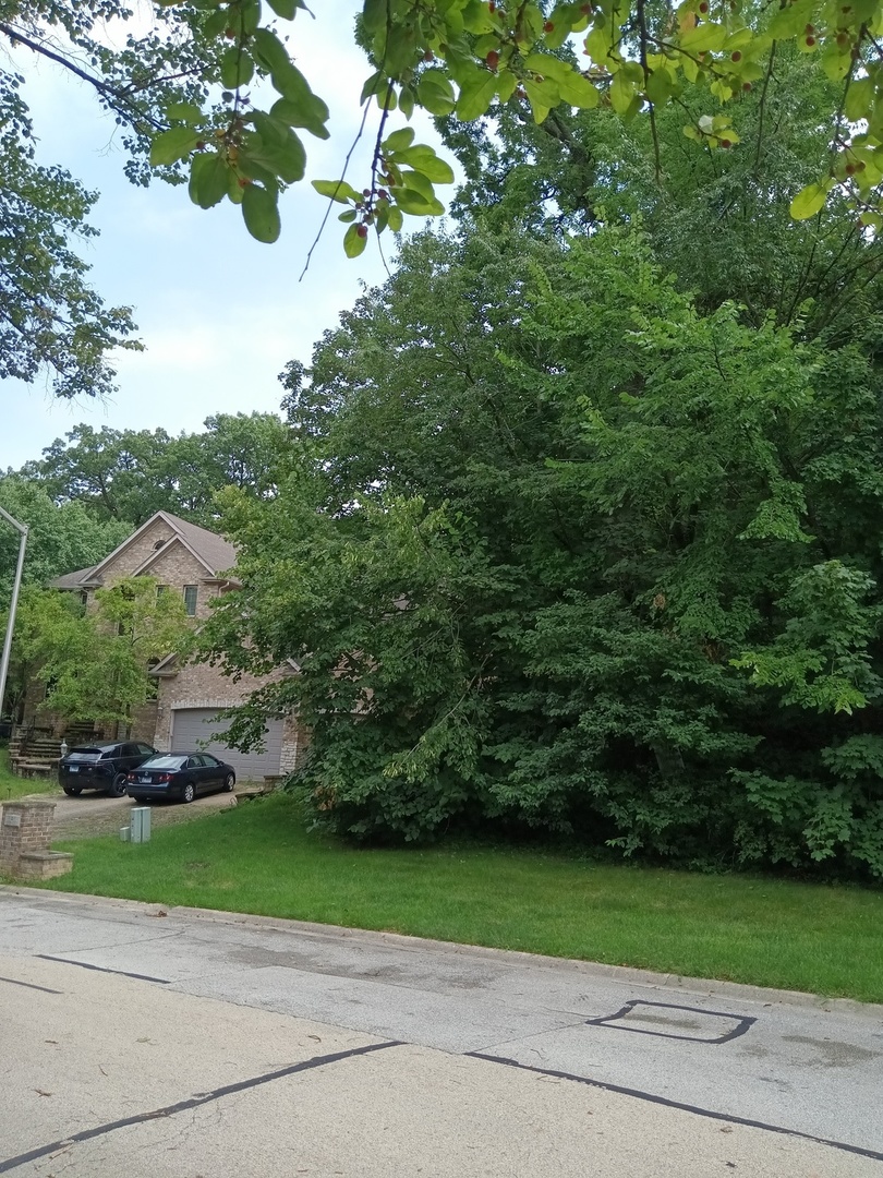 3 Merrimack Court Bolingbrook, IL 60440 - Photo 6 of 6 a view of a yard