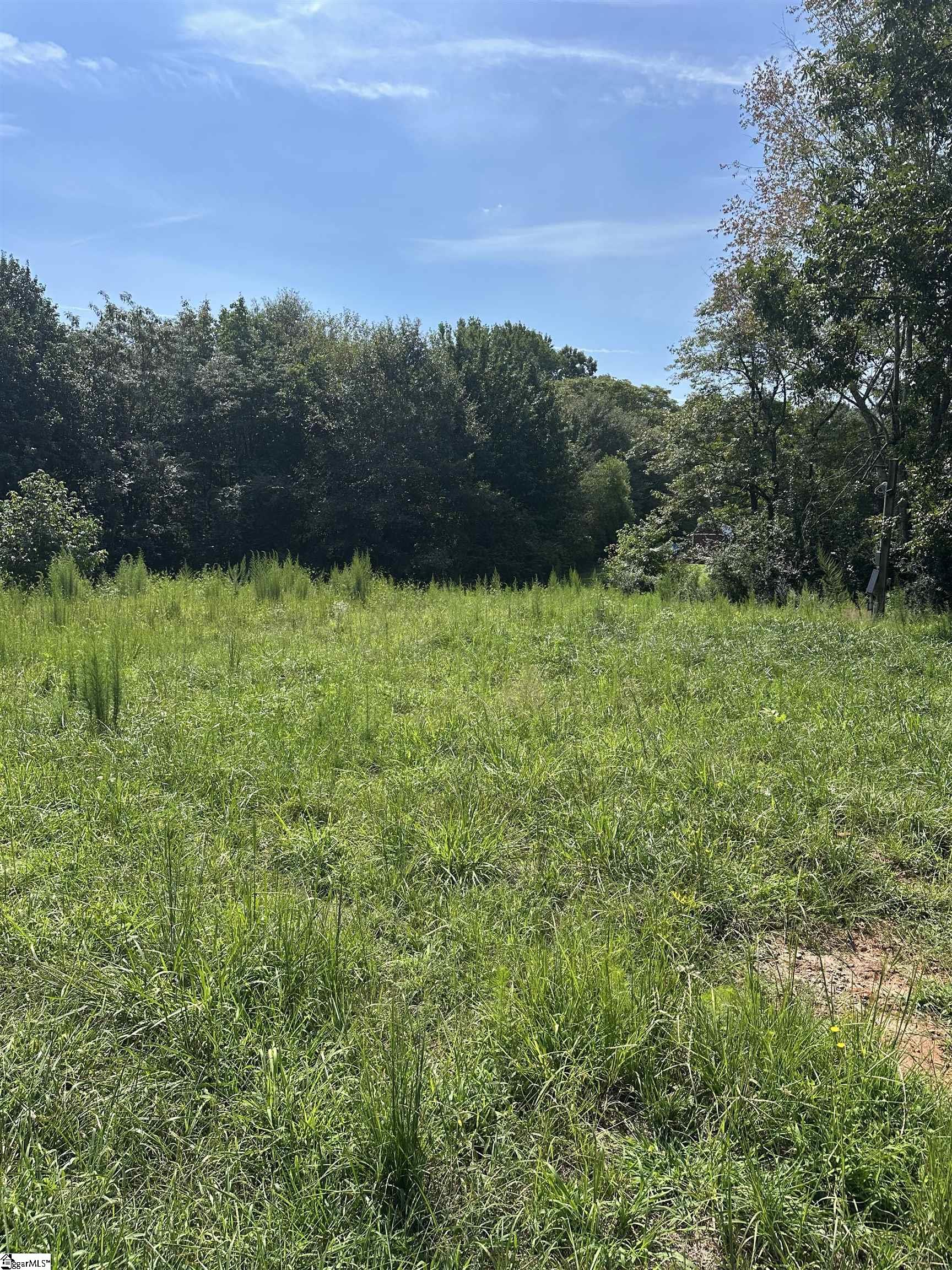 399 State Rd S-42-9756 Lyman, SC 29365 - Photo 3 of 7