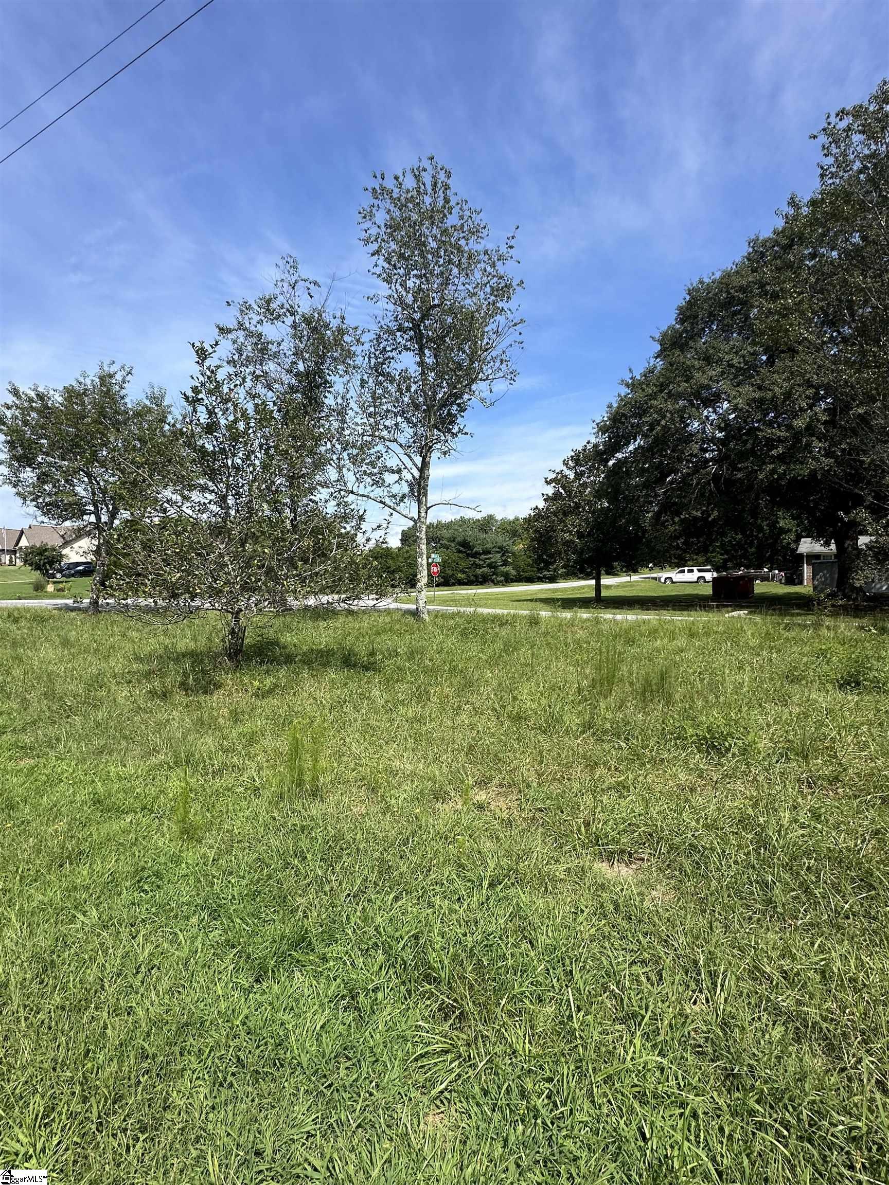 399 State Rd S-42-9756 Lyman, SC 29365 - Photo 6 of 7