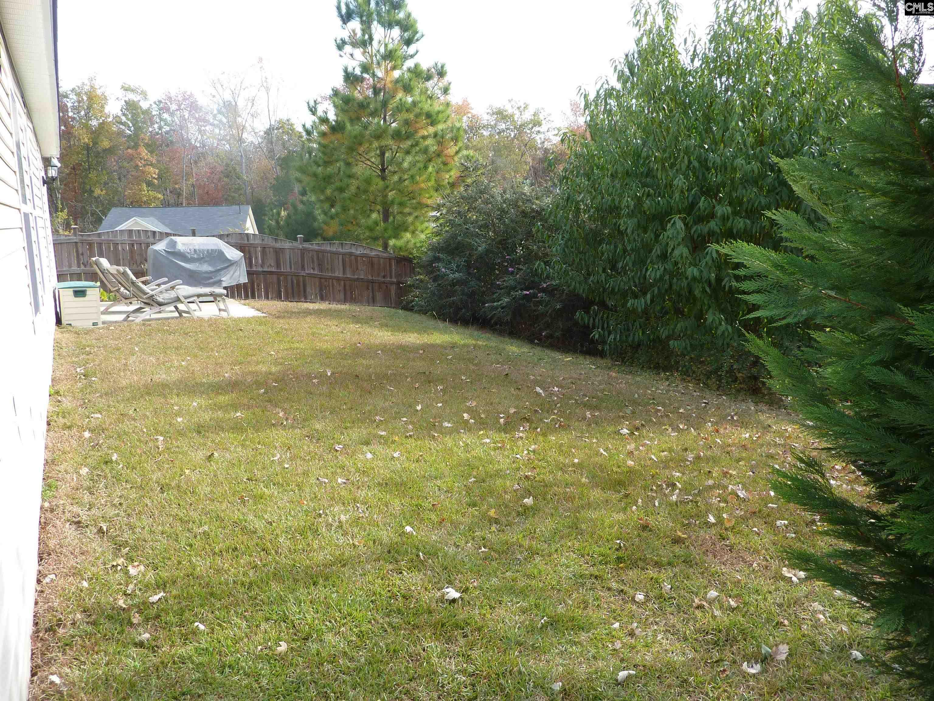 5 Redbrush Court Chapin, SC 29036 - Photo 35 of 36