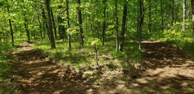 3115 State Line Road Menlo, GA 30731 - Photo 1 of 5 20210116040815214950000000-o