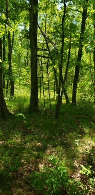 3115 State Line Road Menlo, GA 30731 - Photo 3 of 5 20210116040814675179000000-o