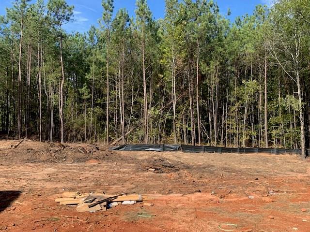 154 Ross Road Waverly Hall, GA 31831 - Photo 10 of 13 BACK YARD