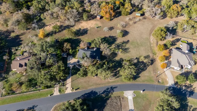 a view of a tree with a yard
