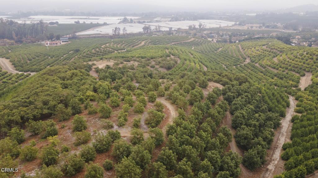 0 Donlon Road Somis, CA 93066 - Photo 1 of 6 a view of a field with mountains in the background
