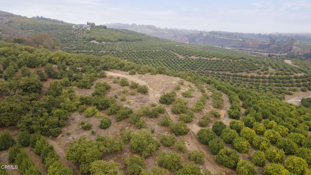 0 Donlon Road Somis, CA 93066 - Photo 2 of 6 a view of a lush green field with a mountain in the background