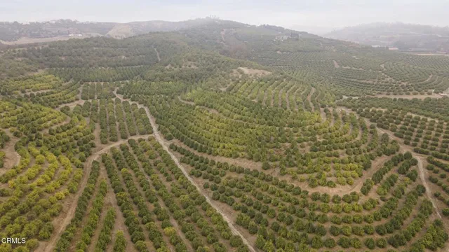 $2,275,000 | 0 Donlon Road, Somis, CA 93066