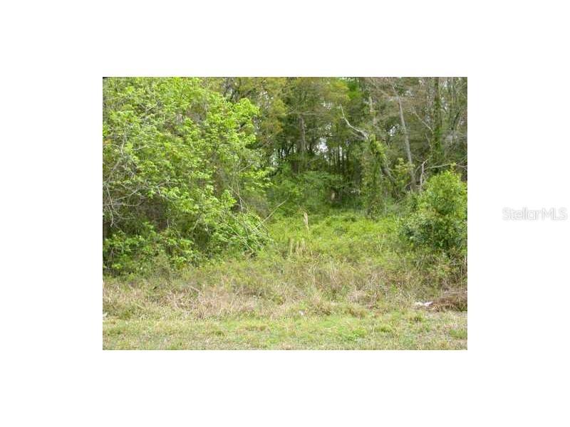 12940 Rio Vista Avenue New Port Richey, FL 34654 - Photo 1 of 1 Gallery Image 1