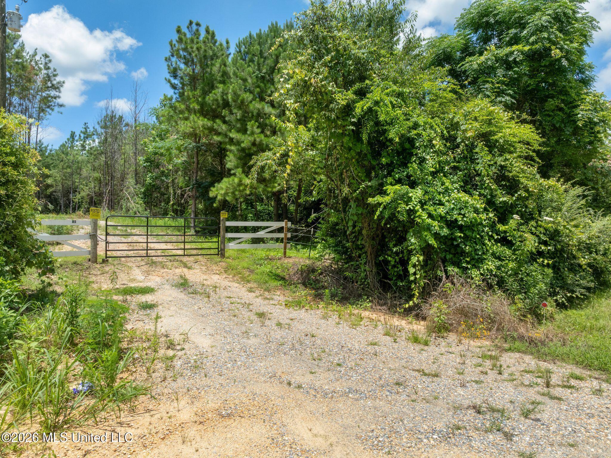 31-acres Ridgeland Road Bassfield, MS 39421 - Photo 1 of 27 85_Ridgeland_Rd-1