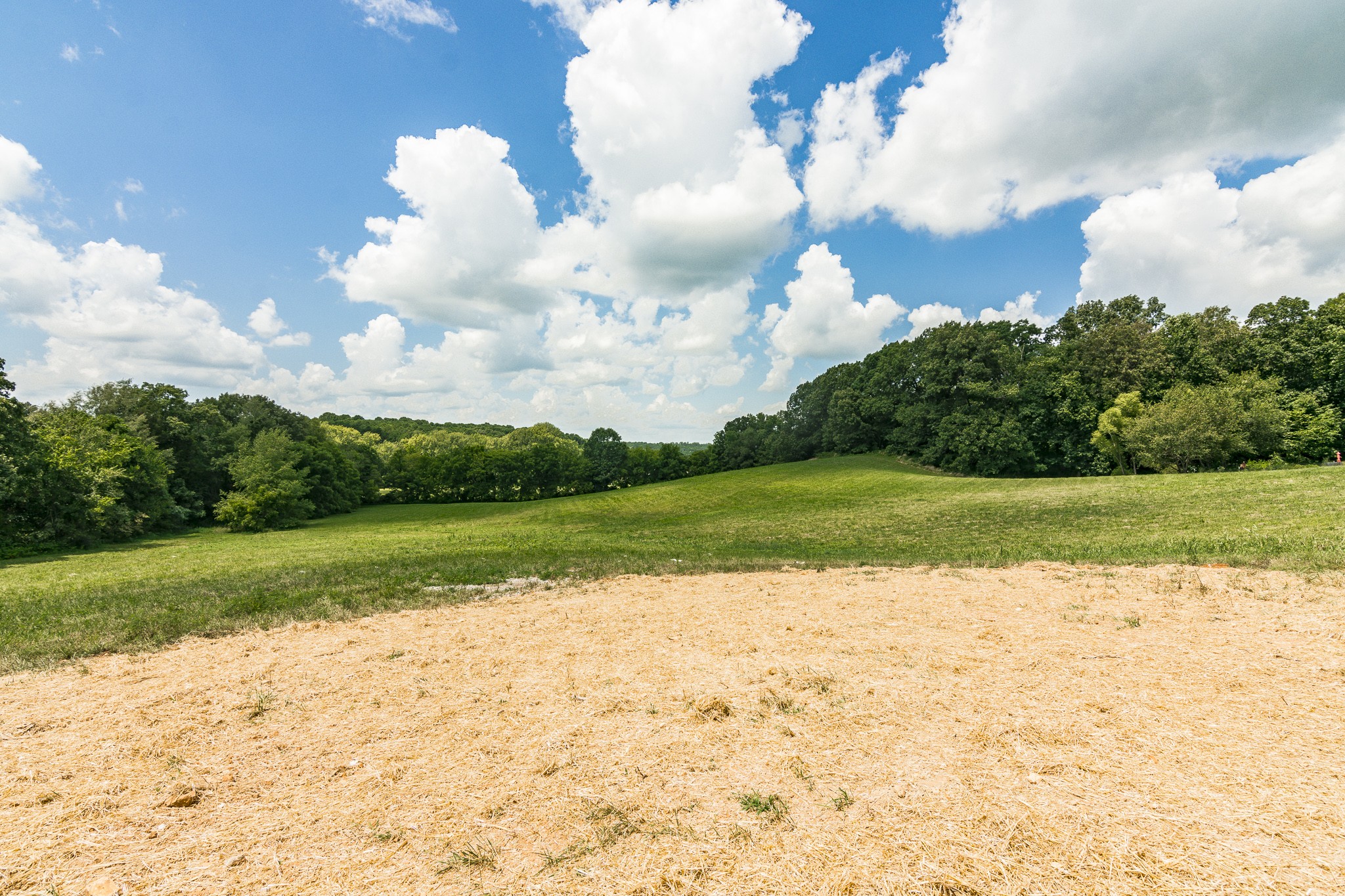 4839 Pulliam-Hardaway Road Springfield, TN 37172 - Photo 36 of 40 a view of a lake