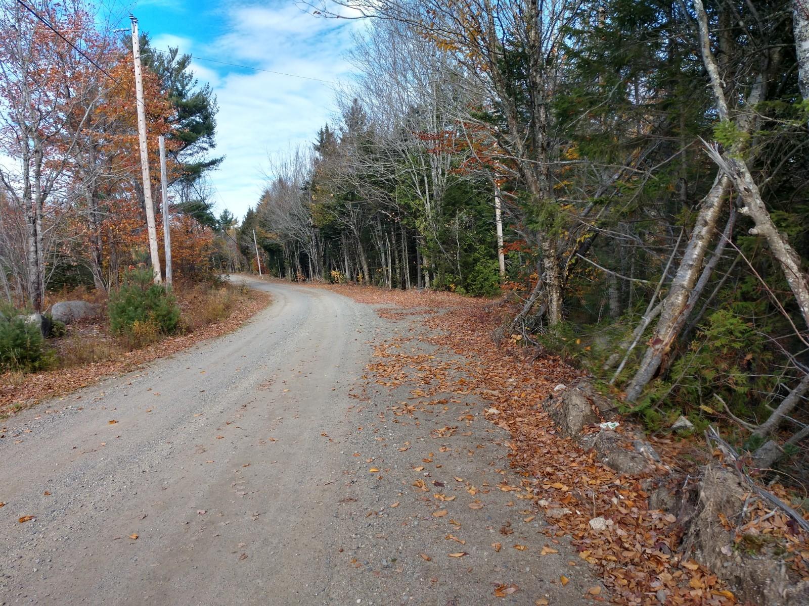 42-1 Camp & East Ridge Road Cooper, ME 04657 - Photo 3 of 7 IMG_20191022_121242735_HDR