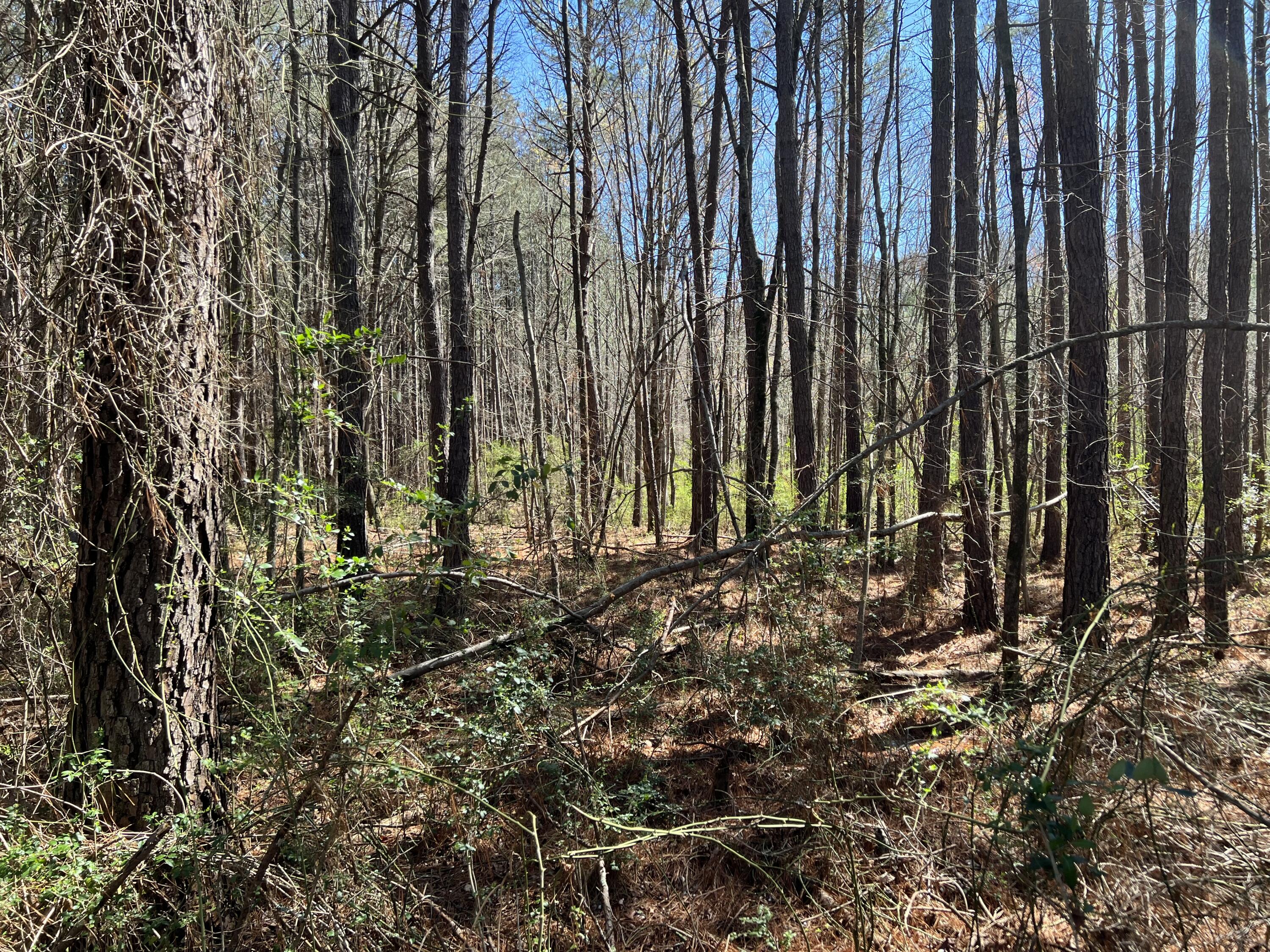 0 Utility Southwest Road Rocky Face, GA 30740 - Photo 11 of 18 Utility Rd 10