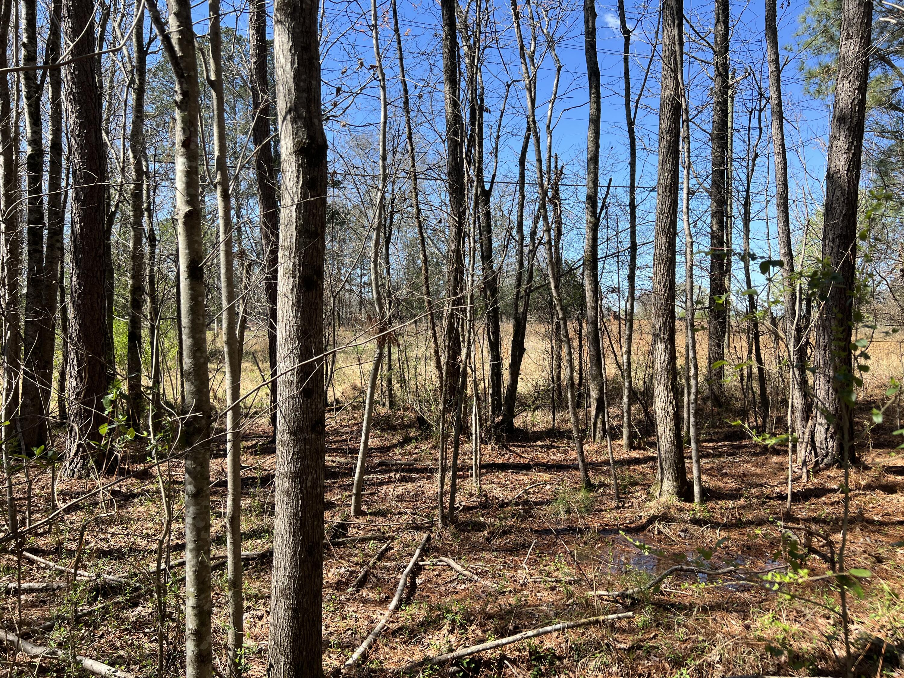 0 Utility Southwest Road Rocky Face, GA 30740 - Photo 12 of 18 Utility Rd 11