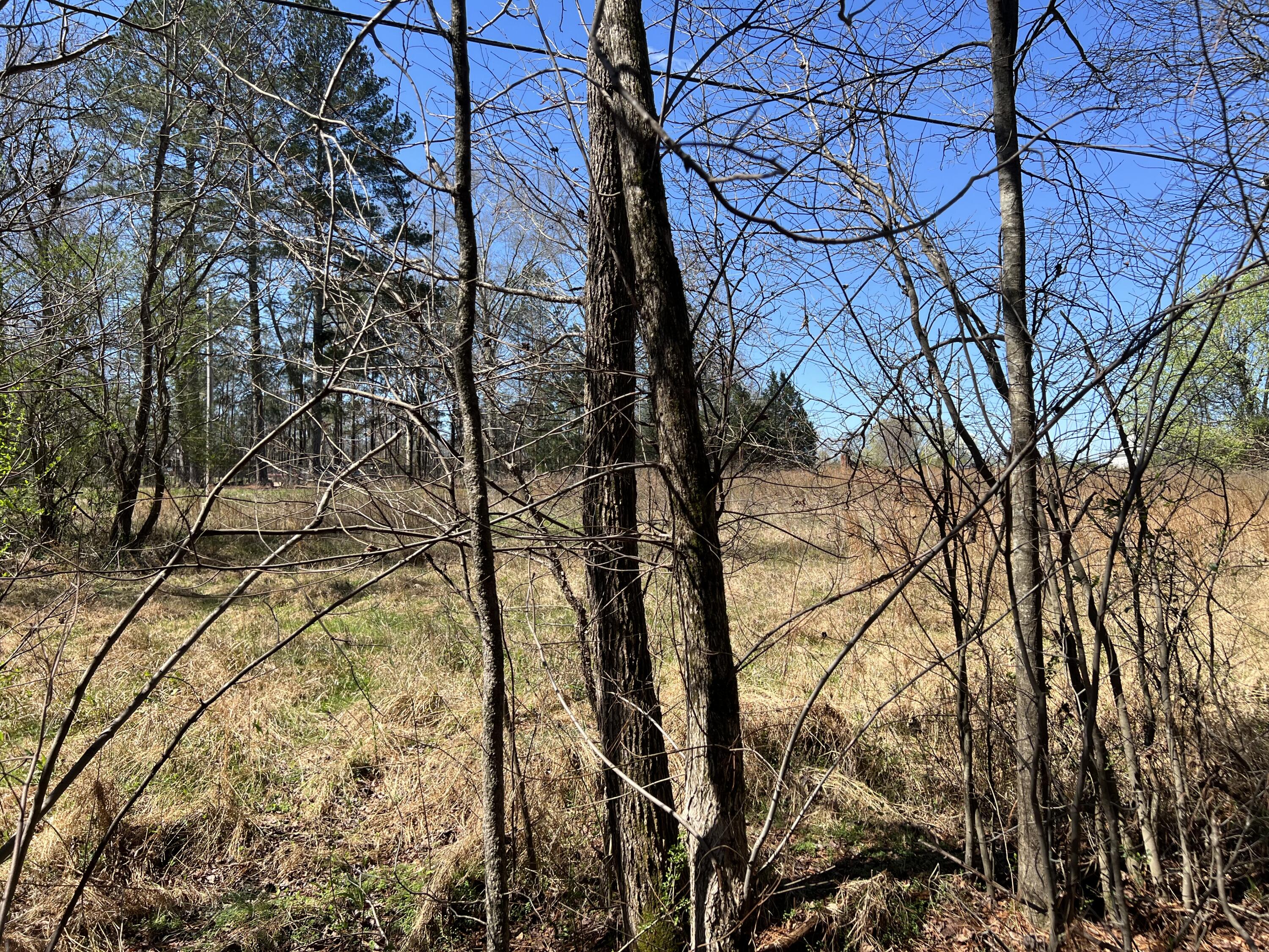 0 Utility Southwest Road Rocky Face, GA 30740 - Photo 14 of 18 Utility Rd 13