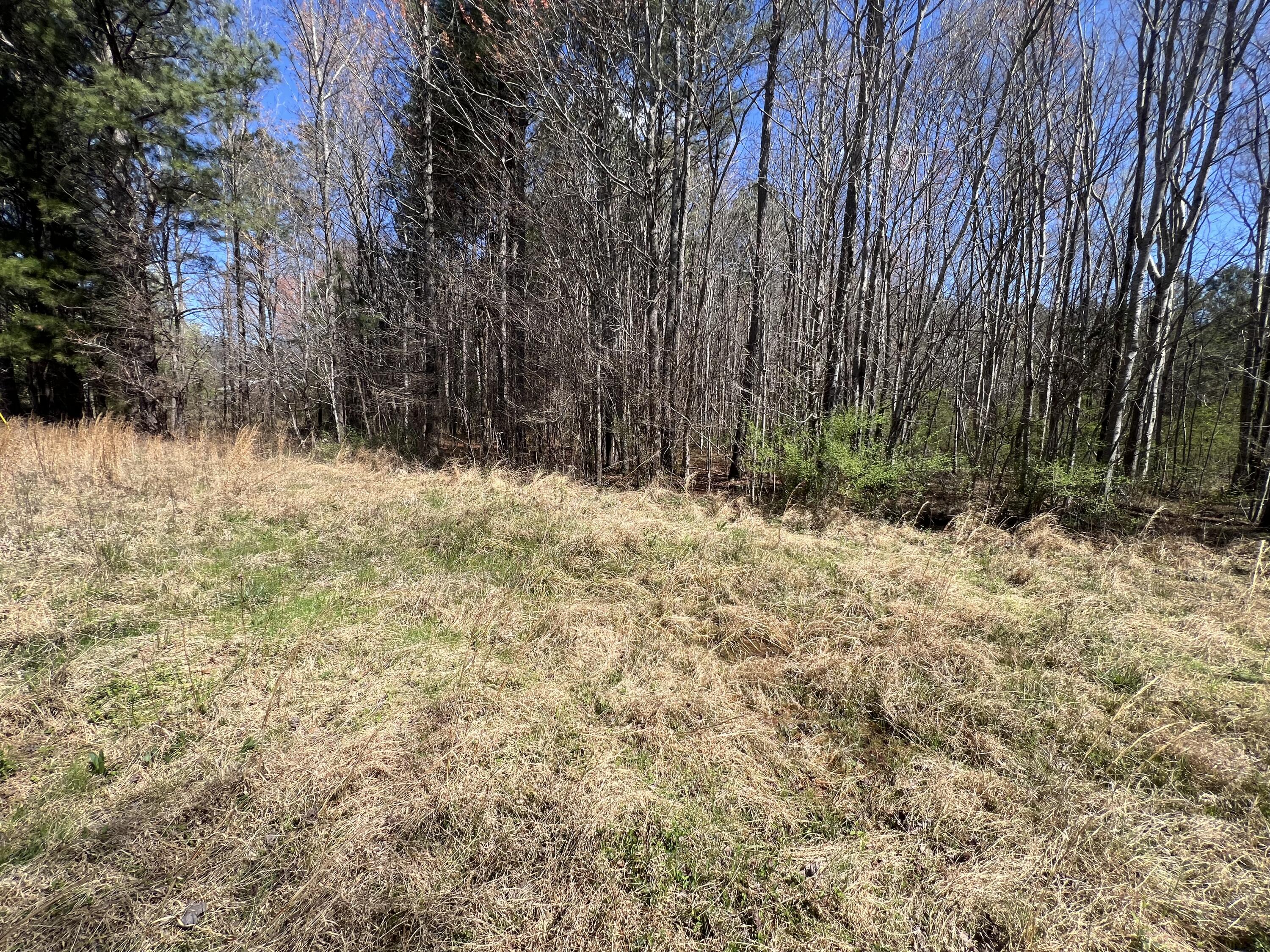 0 Utility Southwest Road Rocky Face, GA 30740 - Photo 17 of 18 Utility Rd 16