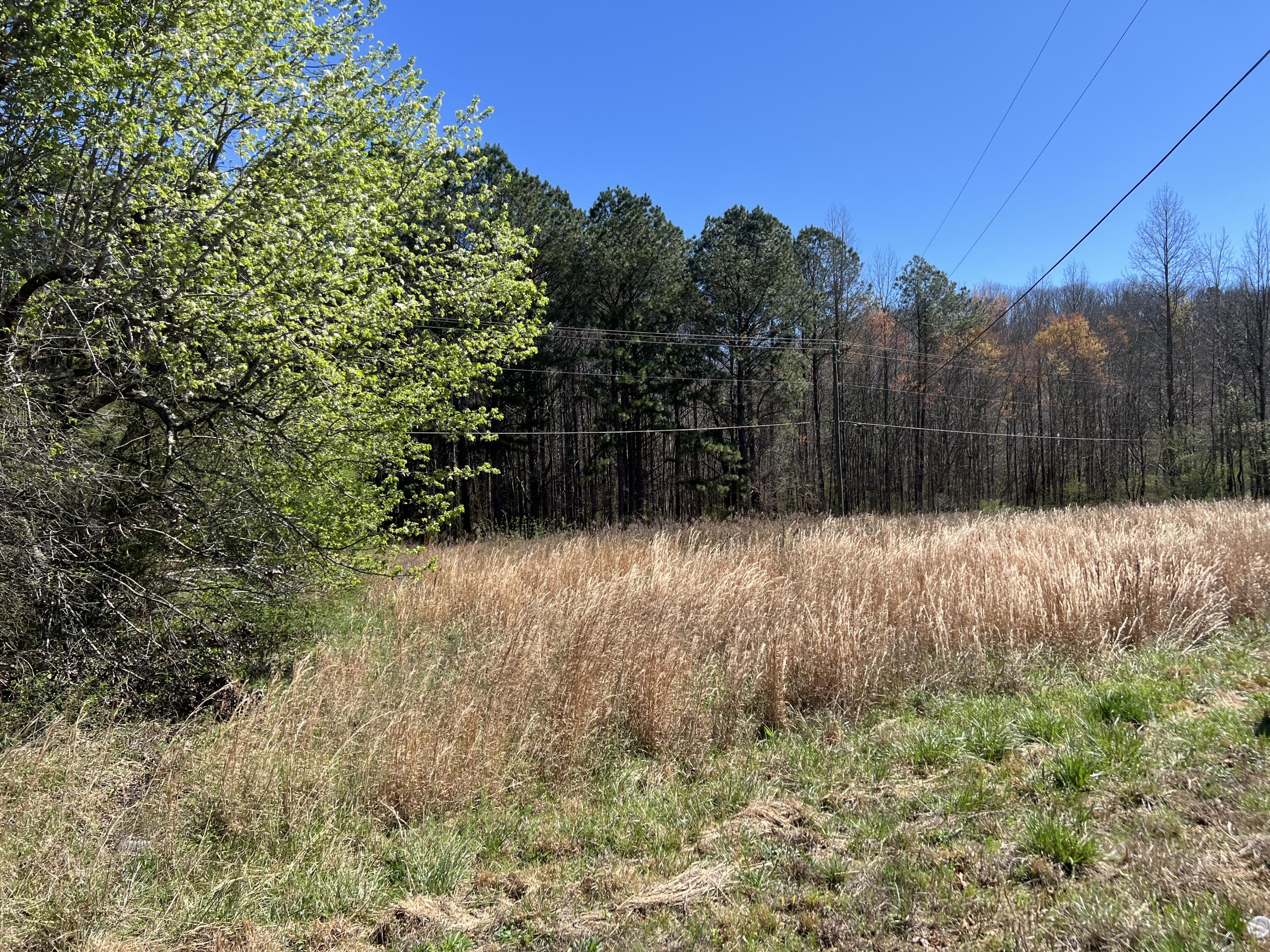 0 Utility Southwest Road Rocky Face, GA 30740 - Photo 2 of 18 Utility Rd 1