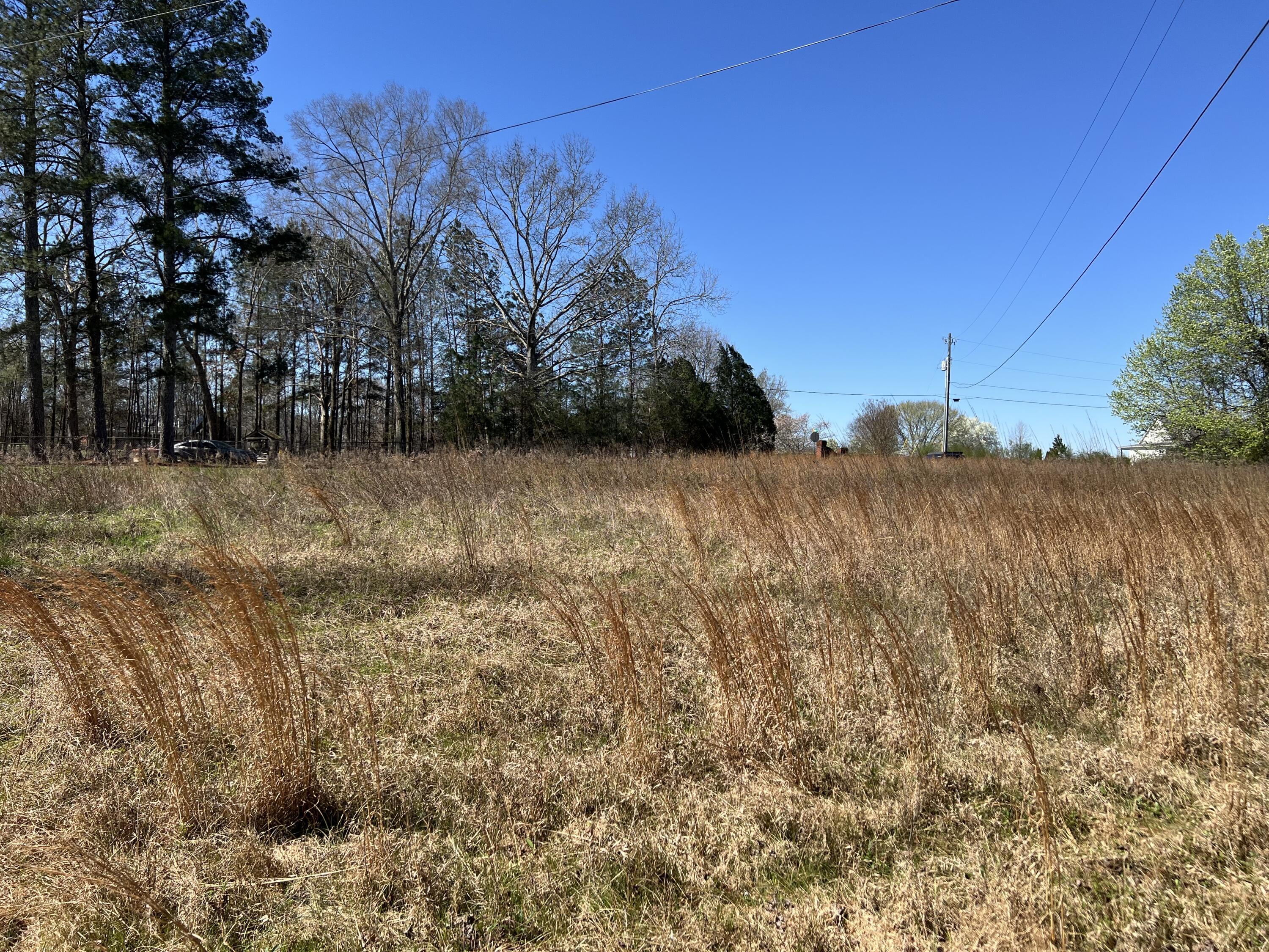 0 Utility Southwest Road Rocky Face, GA 30740 - Photo 6 of 18 Utility Rd 5