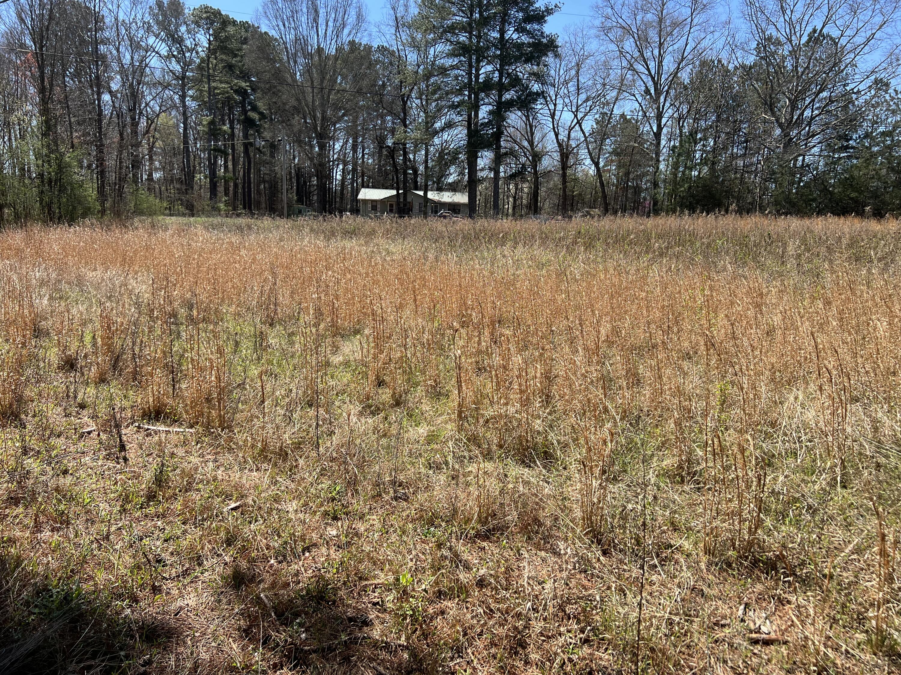 0 Utility Southwest Road Rocky Face, GA 30740 - Photo 8 of 18 Utility Rd 7
