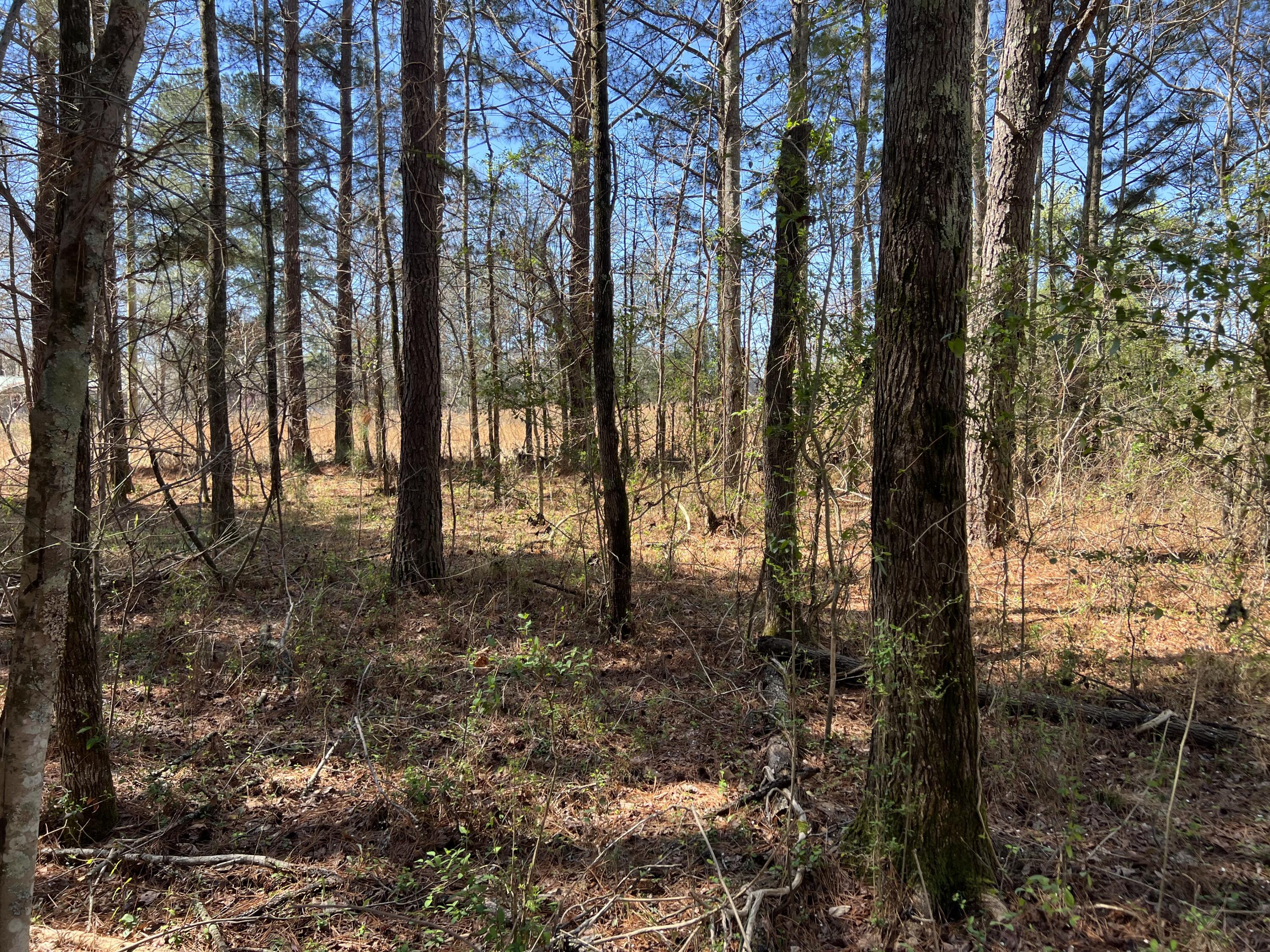 0 Utility Southwest Road Rocky Face, GA 30740 - Photo 9 of 18 Utility Rd 8