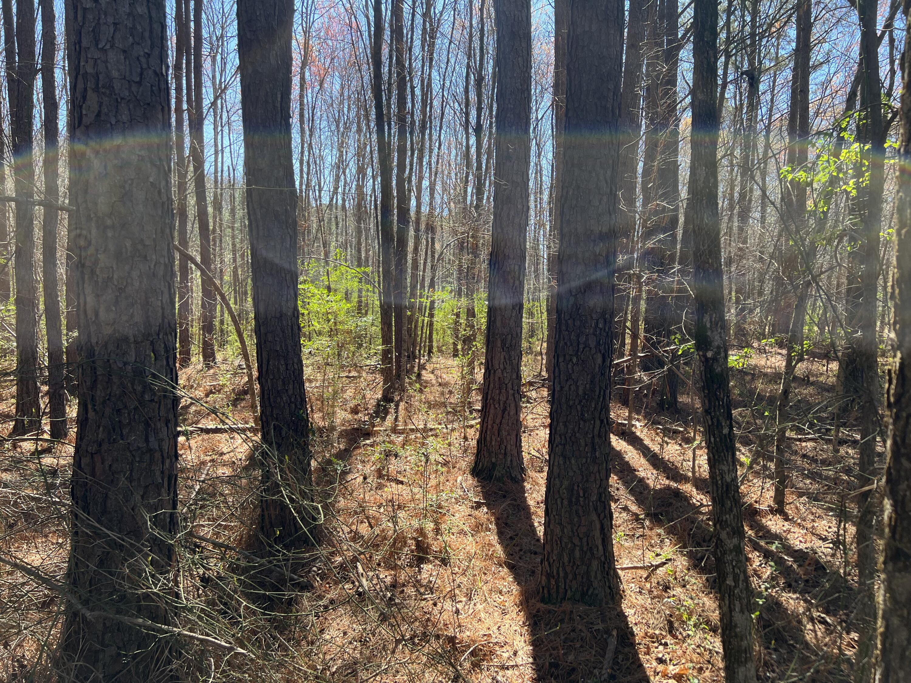 0 Utility Southwest Road Rocky Face, GA 30740 - Photo 10 of 18 Utility Rd 9