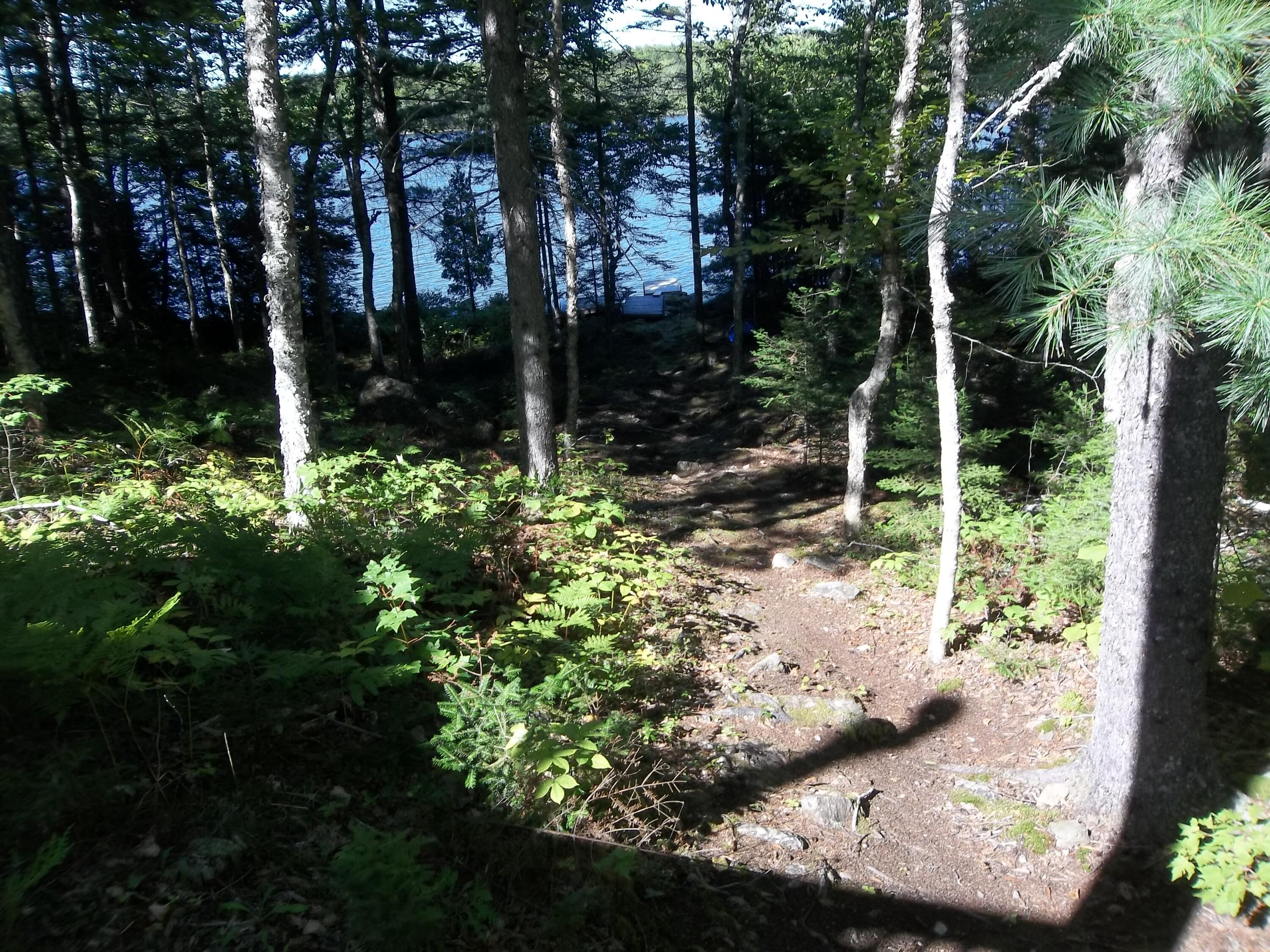 83 Cove Road Meddybemps, ME 04657 - Photo 16 of 31 100_0404