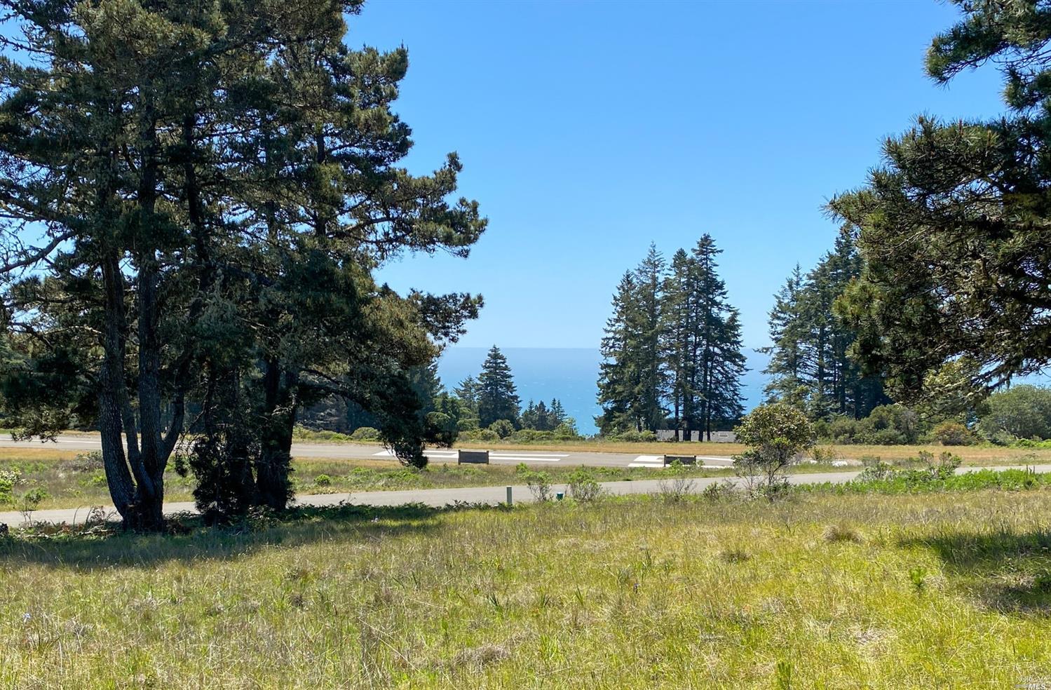 727 Spring Meadow The Sea Ranch, CA 95497 - Photo 1 of 1 a view of a yard with a tree