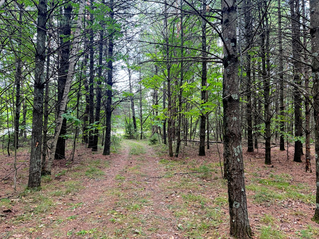 5-acres Logerquist Road Baileys Harbor, WI 54202 - Photo 6 of 13