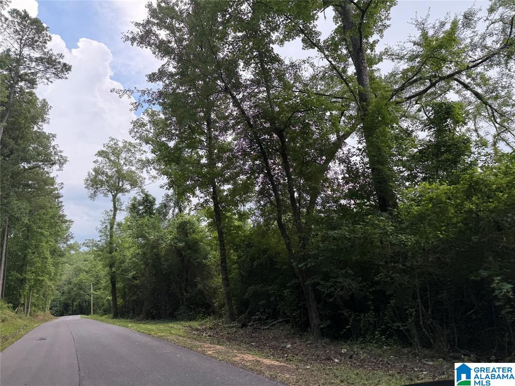 0 County Road 479 Vincent, AL 35178 - Photo 1 of 4
