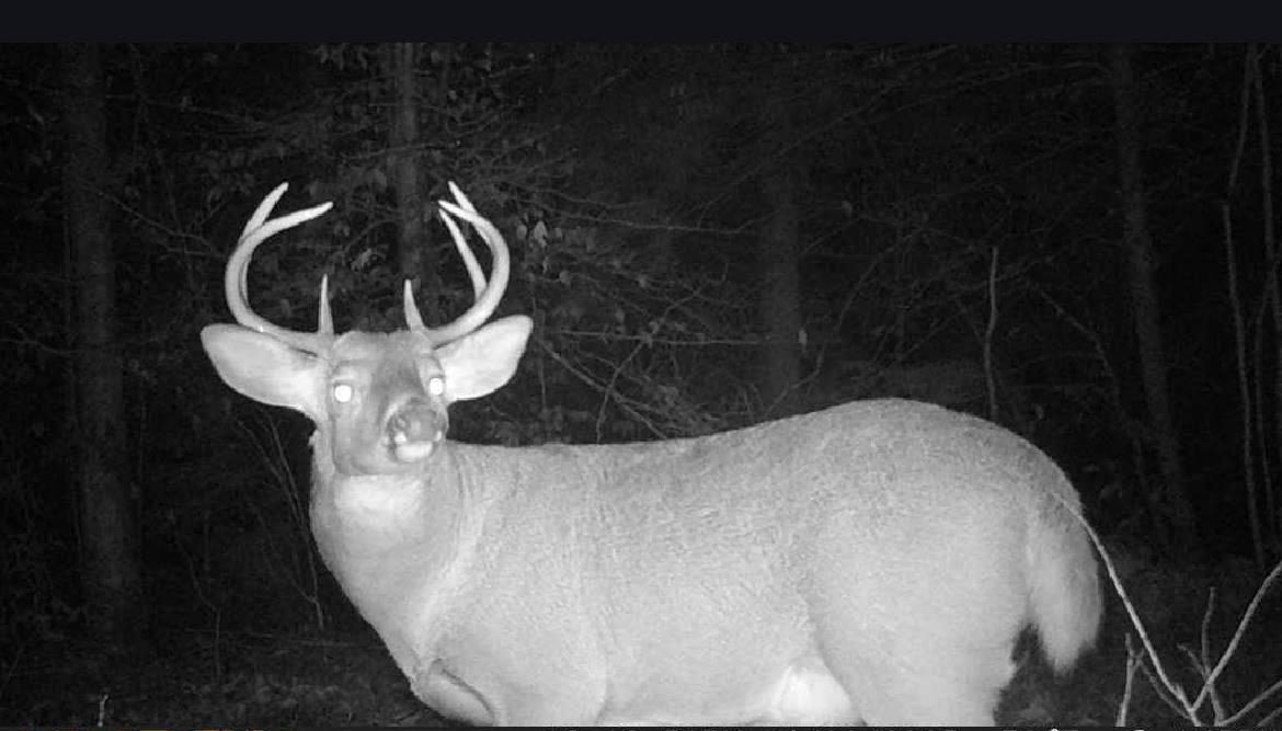10-l 32-34 Suncook Valley Road Center Barnstead, NH 03225 - Photo 21 of 21