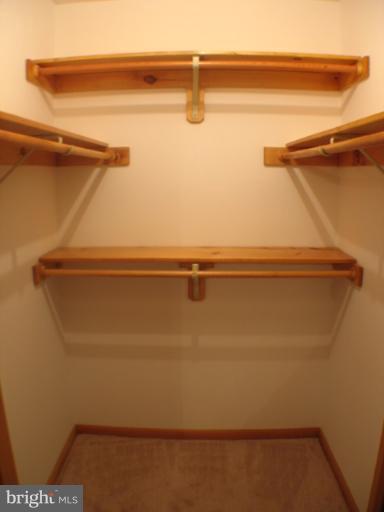 816 Hook Road Westminster, MD 21157 - Photo 7 of 30 spacious walk-in closet plus additional closet!