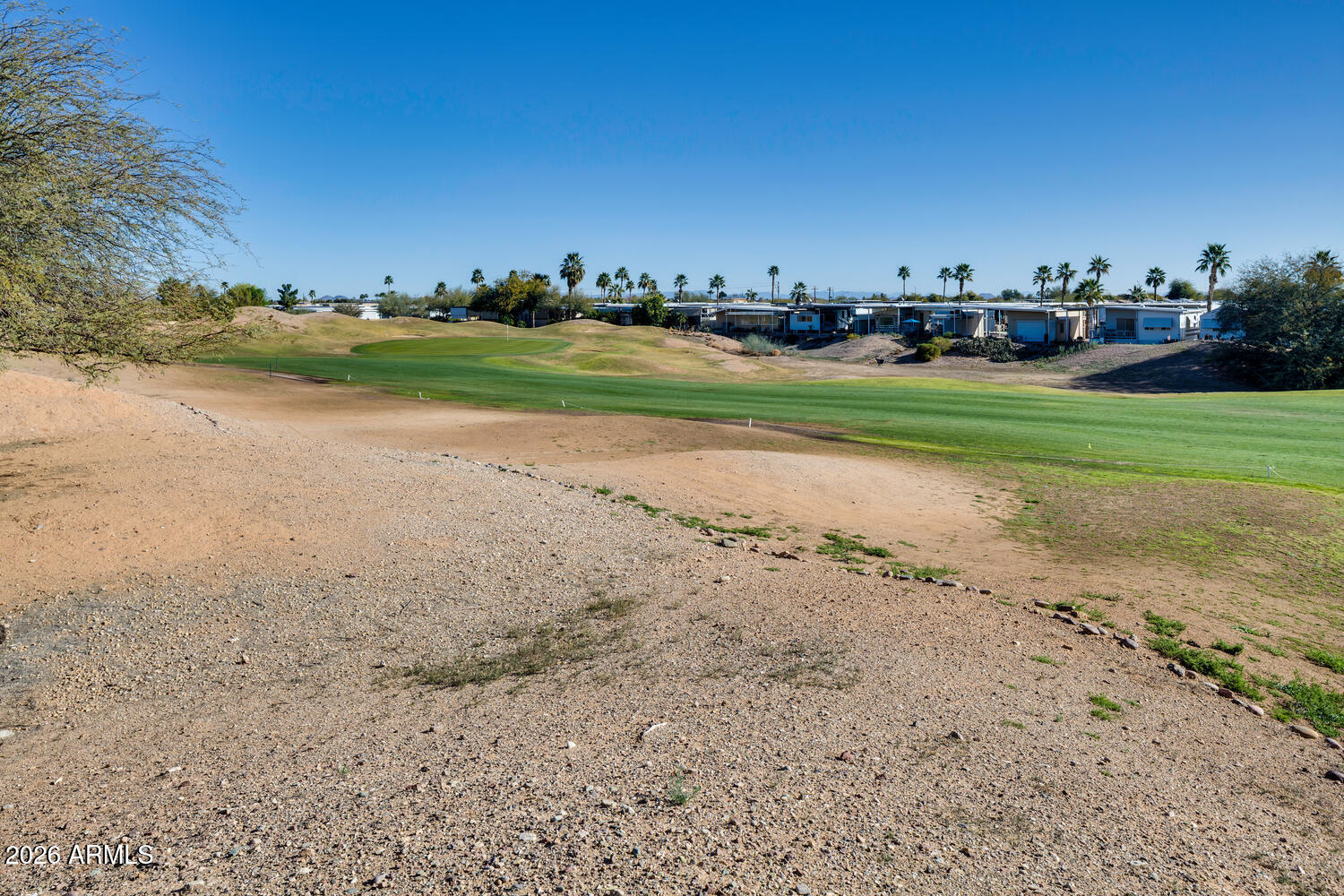 17200 West Bell Road, Unit 722 Surprise, AZ 85374 - Photo 15 of 19 a view of a big yard with a large trees