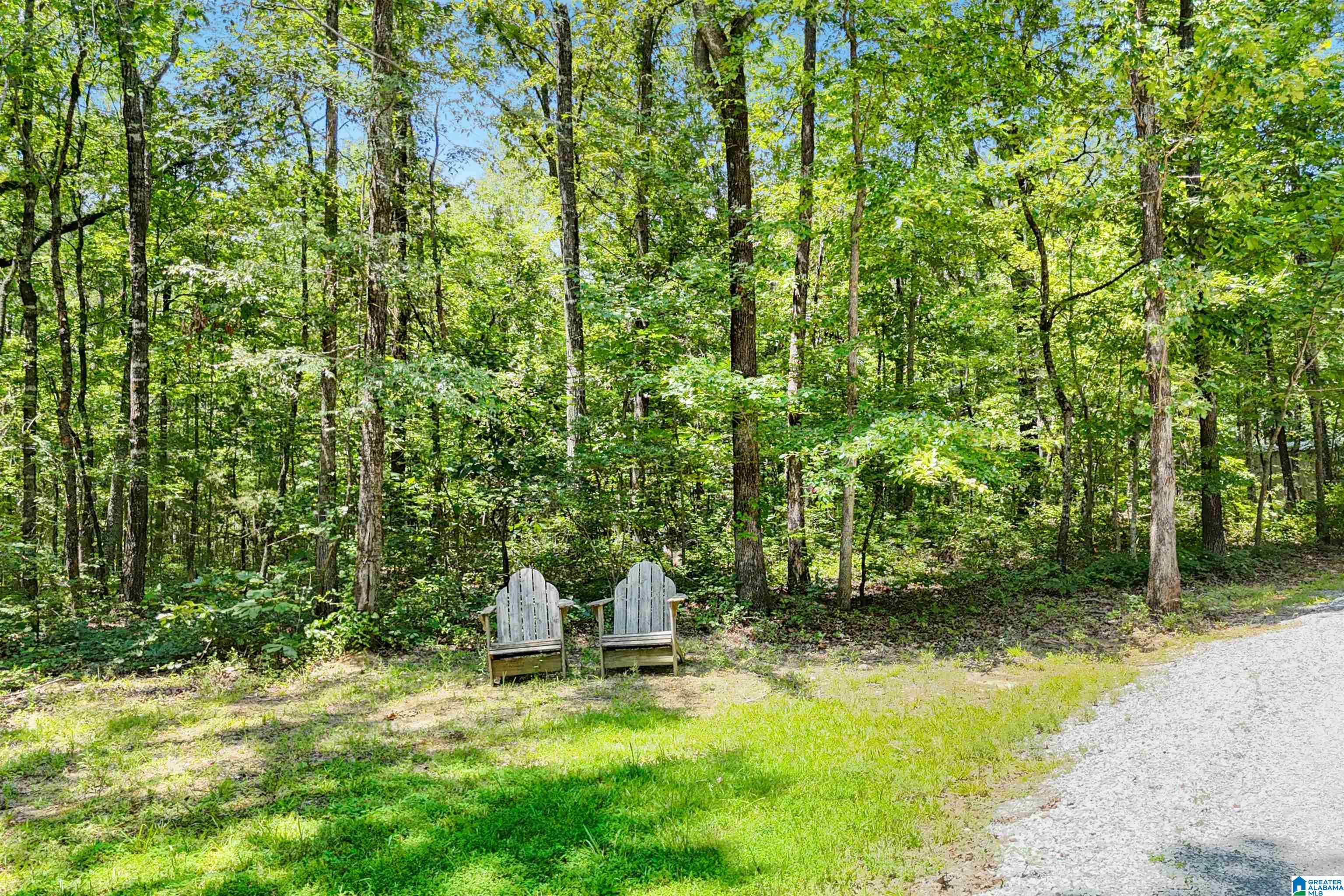 931 Newsome Road Wilsonville, AL 35186 - Photo 3 of 79