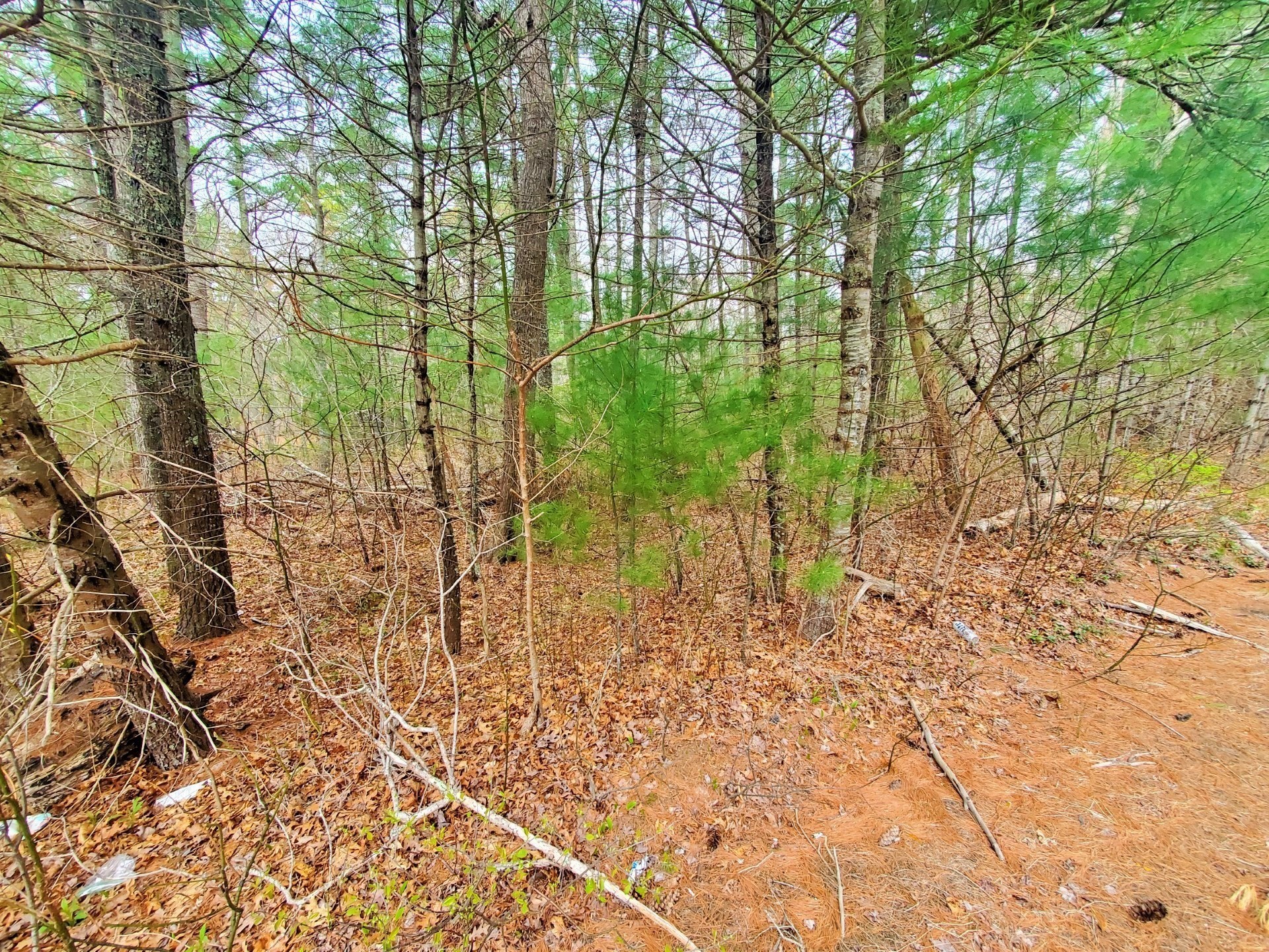 1 - 16 Wareham, MA 02571 - Photo 2 of 6 Gallery Image 2