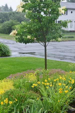 31 High Meadow Road Agawam, MA 01030 - Photo 6 of 27 Gallery Image 6