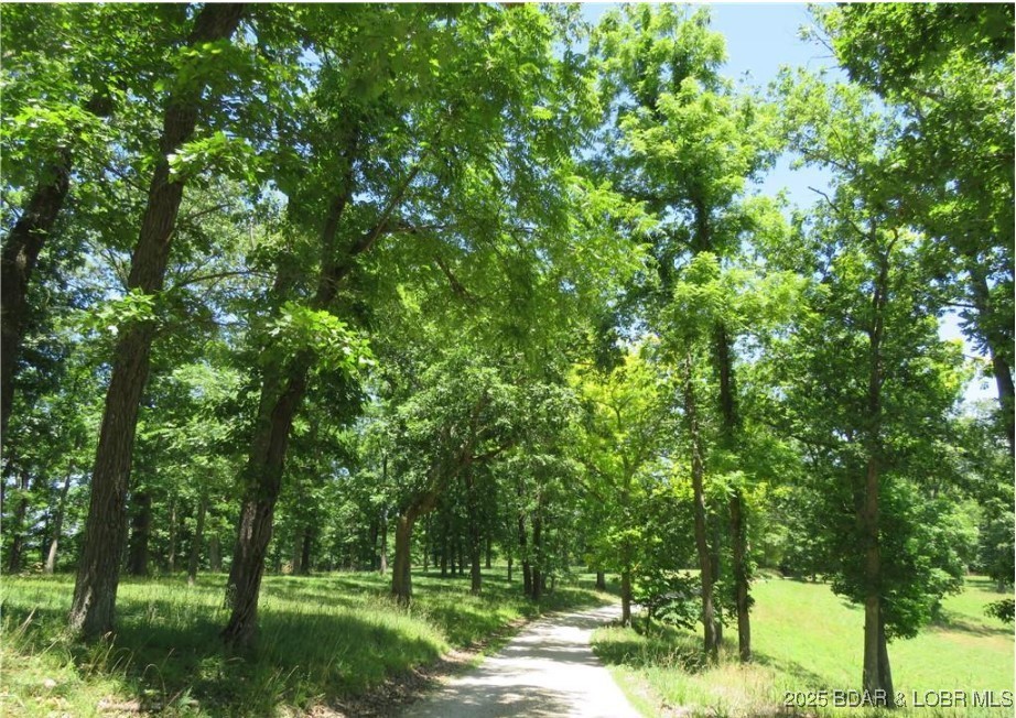4 Timber Ridge Barnett, MO 65011 - Photo 6 of 10 Timbering oaks