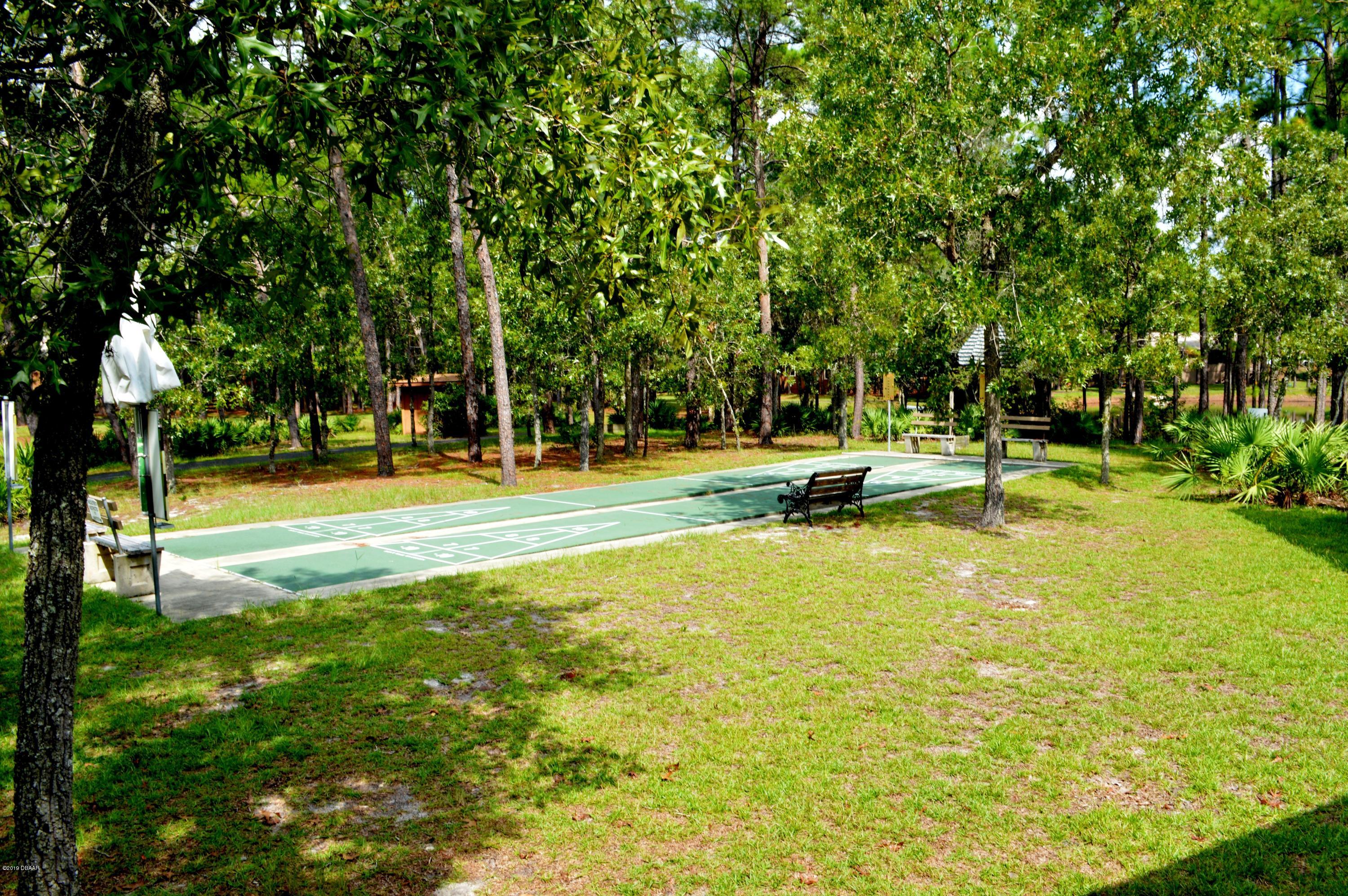 36 Crooked Pine Road Port Orange, FL 32128 - Photo 24 of 27 Shuffleboard