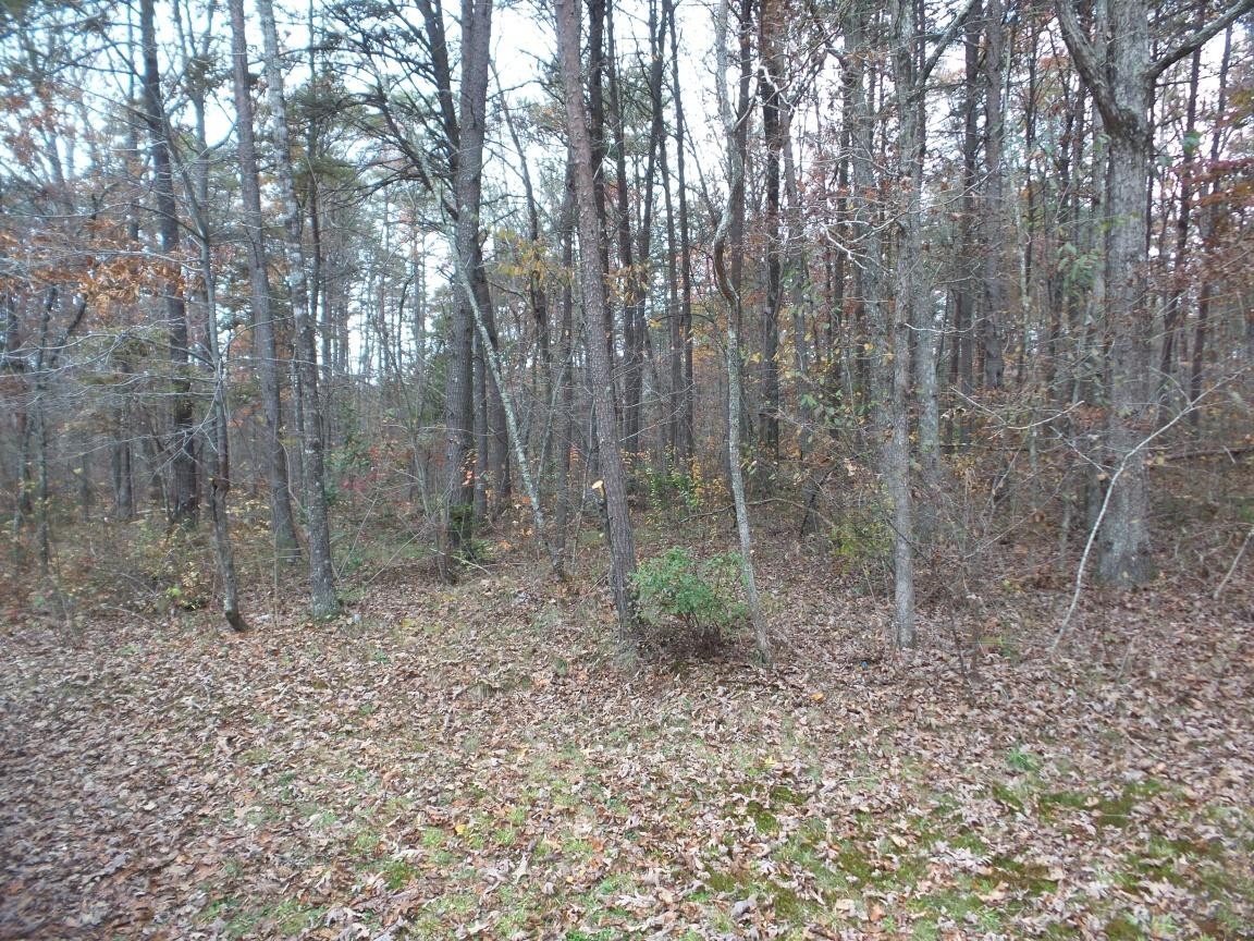 471 Quarry Road Dunlap, TN 37327 - Photo 27 of 31 Gallery Image 27