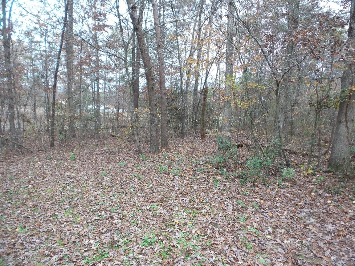 471 Quarry Road Dunlap, TN 37327 - Photo 30 of 31 Gallery Image 30
