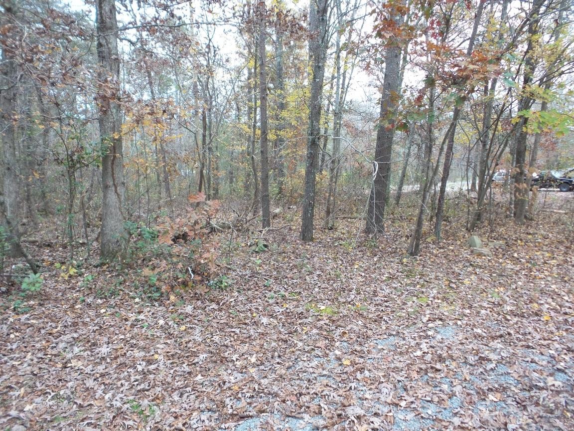 471 Quarry Road Dunlap, TN 37327 - Photo 31 of 31 Gallery Image 31