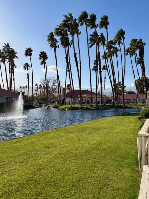43376 Cook Street, Unit 87 Palm Desert, CA 92211 - Photo 8 of 35 a view of a water with palm trees