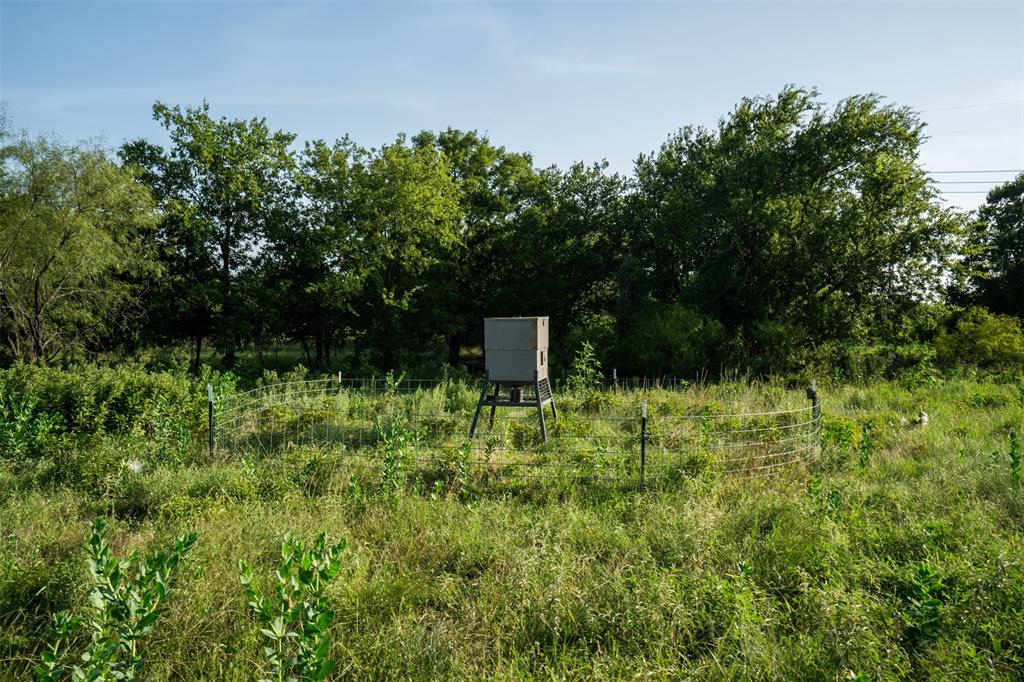 Tbd Napier Road Wichita Falls, TX 76305 - Photo 11 of 24 a view of a garden