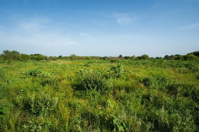 a view of a green field with lots of bushes