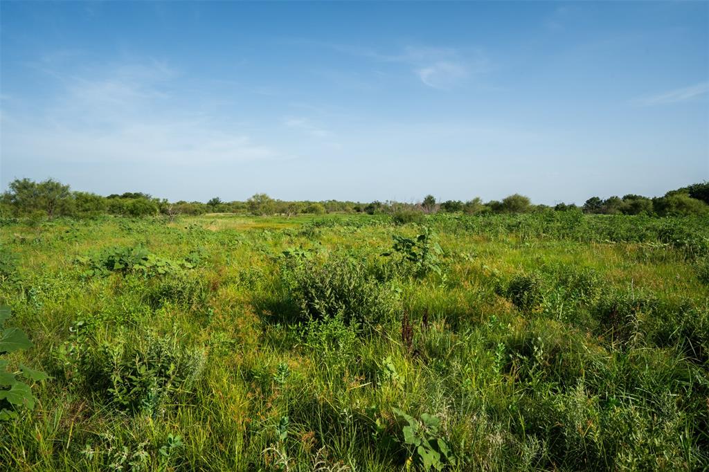 Tbd Napier Road Wichita Falls, TX 76305 - Photo 12 of 24 a view of a green field with lots of bushes
