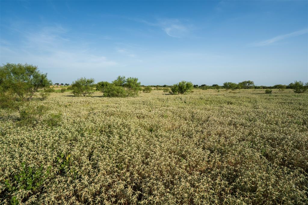 Tbd Napier Road Wichita Falls, TX 76305 - Photo 13 of 24