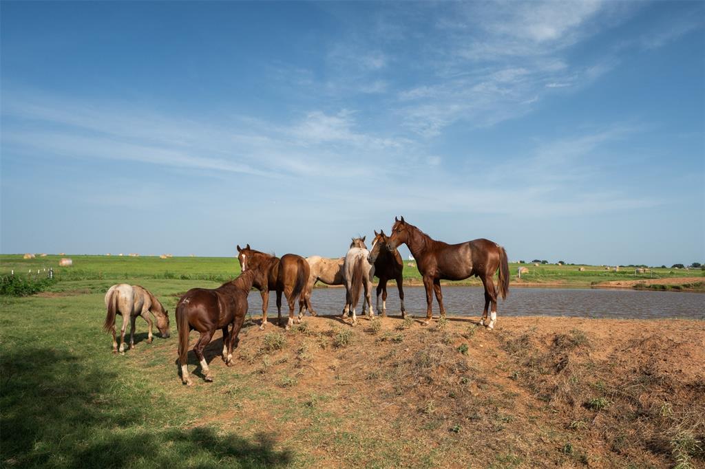 Tbd Napier Road Wichita Falls, TX 76305 - Photo 14 of 24