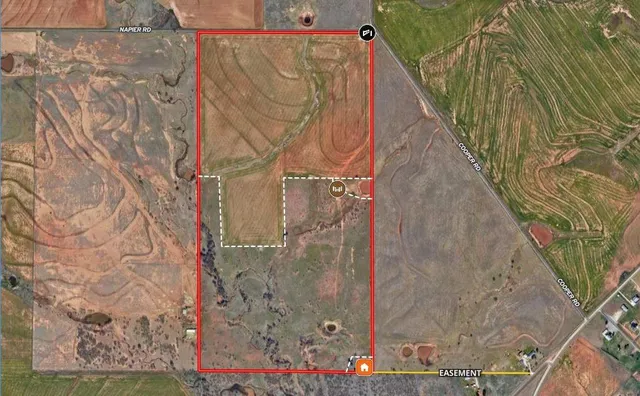 a view of an ocean beach