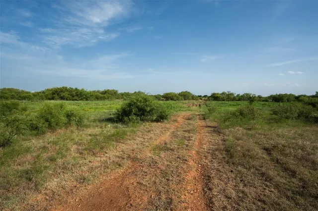a view of a field with trees in background